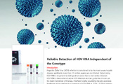 Clinical Evaluation of the RoboGene® Kit for HDV RNA Quantification