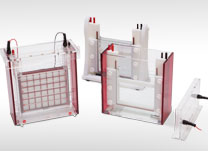 Electrophoresis and Blotting Electrophoresis and Blotting