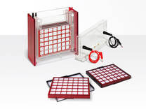 Biometra Tankblot