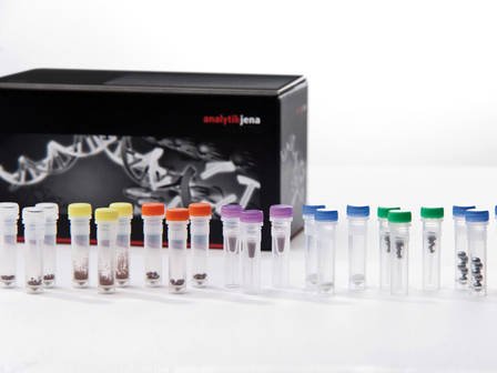 Lysis Tubes
