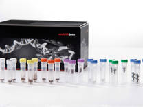 Lysis Tubes