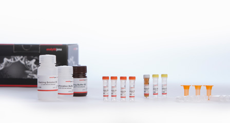 Epigenomic - solutions and kits Epigenomic - solutions and kits