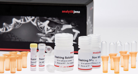 Isolation of Plasmid DNA Isolation of Plasmid DNA