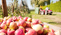 Food & Agriculture Applications