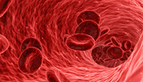 Clinical Applications