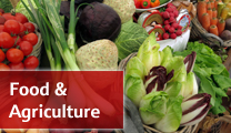 Learn more: Food and Agricultural Analysis